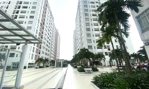 TP HCM: Hàng chục ngàn căn hộ chung cư ở quận 7 chưa được cấp giấy chứng nhận