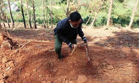 Lâm Đồng: 12 người bị phạt gần 1 tỉ đồng