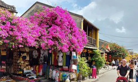 Thường trực Chính phủ: Nâng thời gian lưu trú với khách quốc tế lên 45 ngày