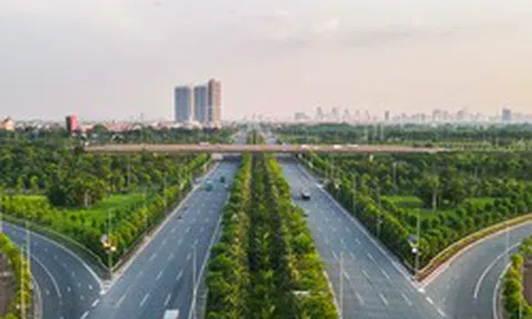 Vụ 'thổi giá cây xanh' Hà Nội: Đường đi của cây trồng nhập lậu từ Trung Quốc