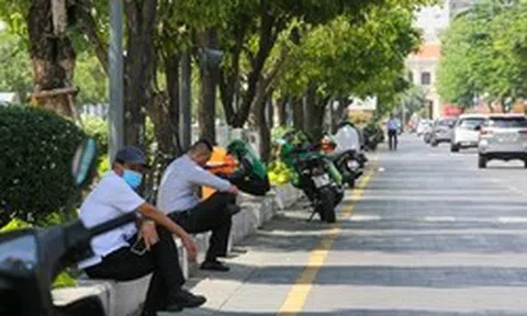 Ảnh: Những tuyến đường rợp bóng cây xanh, giúp TP.HCM giảm bớt nắng nóng gay gắt