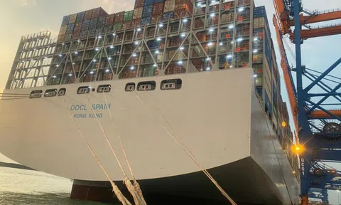 Cận cảnh siêu tàu container lớn nhất thế giới tại Bà Rịa - Vũng Tàu