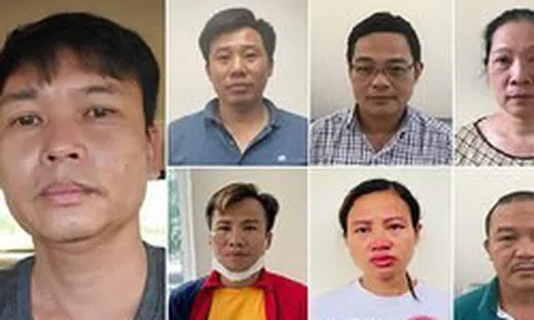 Nâng khống giá cây xanh, chia chác tiền tỉ