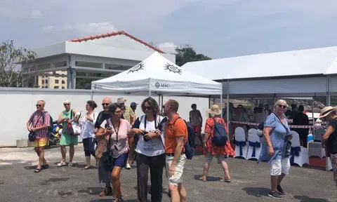 Khánh Hòa: Đón hơn 1.000 khách tàu biển tham quan phố biển Nha Trang