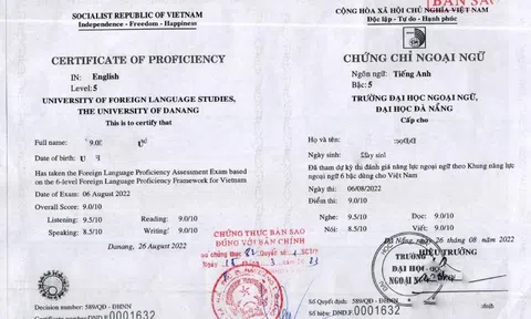 Một hướng dẫn viên du lịch bị thu hồi thẻ vì sử dụng chứng chỉ giả