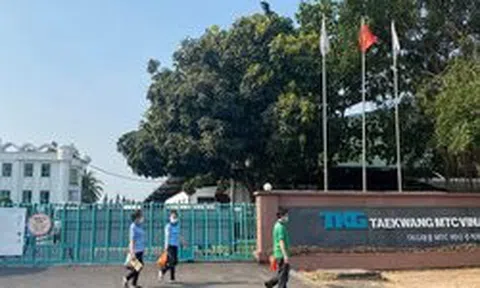 Đồng Nai: Một công ty cho gần 800 công nhân nghỉ việc