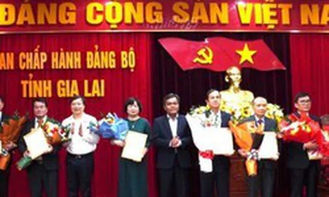 Tỉnh Gia Lai điều động, chỉ định nhiều cán bộ giữ chức vụ quan trọng