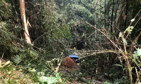 2 xe ôtô lao xuống vực sâu sau va chạm, tài xế nhảy khỏi xe thoát thân