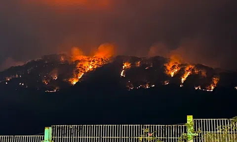 Đang cháy đèo Prenn, lửa đỏ rực cả một góc trời