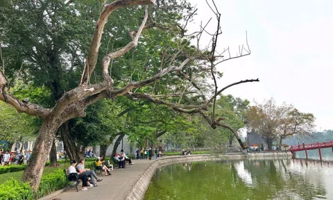 Hà Nội chặt hạ 3 cây sưa chết khô bên hồ Hoàn Kiếm