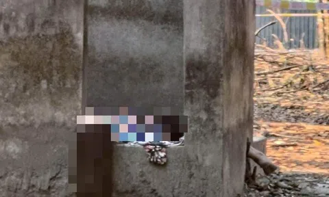 Nữ chủ quán karaoke chết trong căn nhà hoang ở Bình Dương