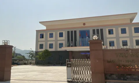 Một chủ tịch xã ở Bình Định bất ngờ xin thôi chức