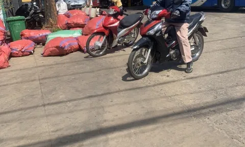 Đắk Lắk: Đề nghị lắp đặt camera tại điểm nóng để “xoá sổ” xe dù, bến cóc