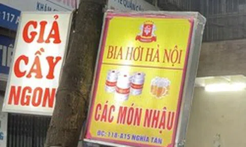 Hàng loạt cây xanh ở Hà Nội bị đóng đinh đang “kêu cứu”