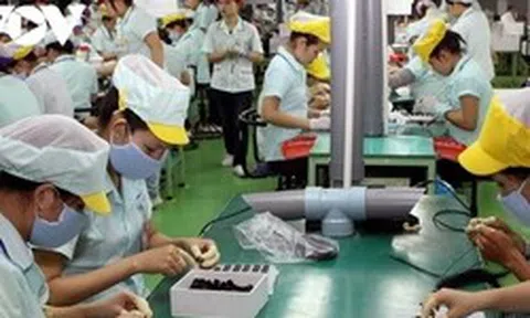 Rút BHXH một lần, NLĐ tự tước quyền an sinh cơ bản của chính mình