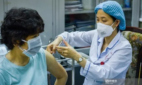 Omicron là biến thể phổ biến, chiếm ưu thế