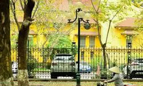 Ngắm con đường lãng mạn nhất Hà Nội rực vàng mùa sấu thay lá