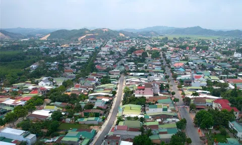 Lâm Đồng: Đề xuất thu hồi các dự án bảo vệ rừng nhưng làm mất rừng