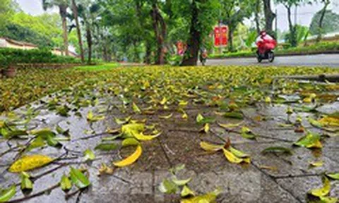 Người dân Thủ đô chật vật đi làm trong mưa rét bất thường