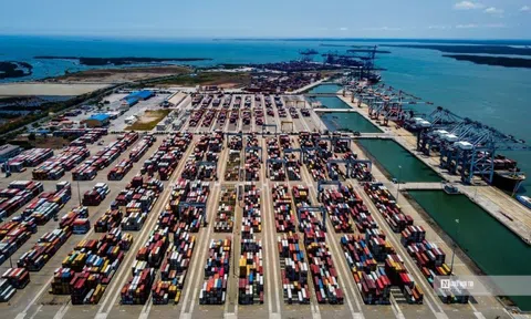 Bộ GTVT yêu cầu đánh giá kỹ tác động "siêu cảng" Cần Giờ