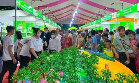 ĐBSCL: Nhiều hoạt động lễ hội dịp lễ 30/4 thu hút du khách