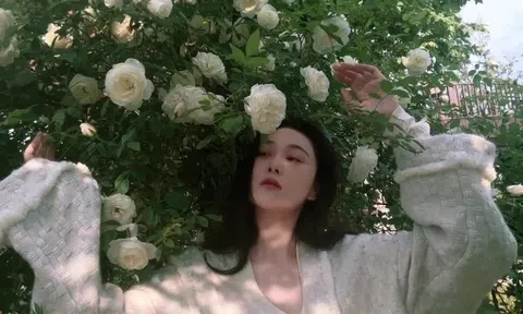 Vườn hoa của 'Lý Mạc Sầu' Trương Hinh Dư