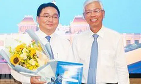 Ông Nguyễn Trần Bình làm Chủ tịch UBND quận 11