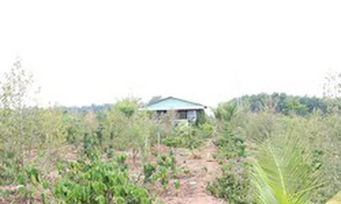 Bắt giam Phó Giám đốc Trung tâm phát triển quỹ đất TP.Kon Tum