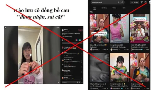 Kiểm tra toàn diện hoạt động của Tiktok tại Việt nam trong 15 ngày