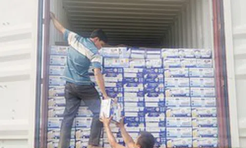 Bắt giám đốc công ty nhập lậu sữa từ Mỹ về Việt Nam