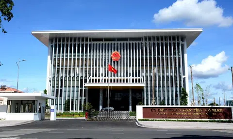 Cà Mau: Thành lập Tổ công tác đặc biệt hỗ trợ doanh nghiệp