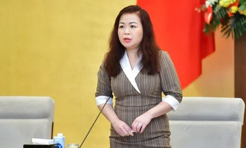 Đề nghị giữ quy định giá trần, không áp giá sàn với dịch vụ hàng không