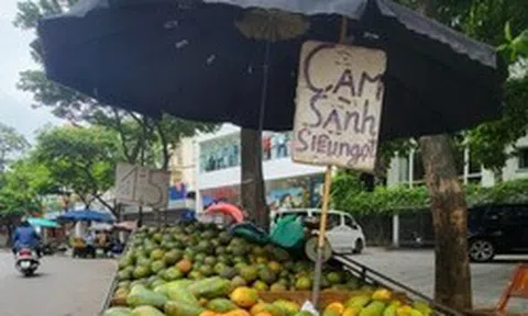 Xe hàng hoa quả kềnh càng, lấn chiếm đường phố Hà Nội để kinh doanh