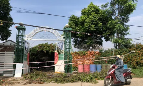 Tháo dỡ hàng loạt công trình biến tướng trên 14.000 m2 đất nông nghiệp