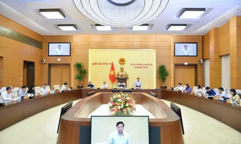 Nghiên cứu chính sách hỗ trợ đặc thù sau khi sắp xếp cấp huyện, cấp xã