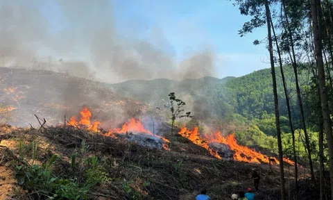 Nhiều hecta rừng ở Quảng Trị chìm trong biển lửa