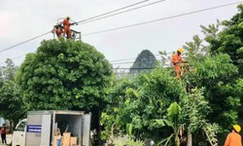 Quảng Bình: Vì sao cắt điện khẩn cấp lúc cao điểm nắng nóng 40 độ C?