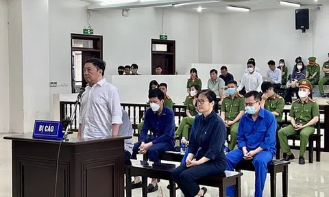 Không chấp thuận kháng cáo thay Nguyễn Thị Thanh Nhàn