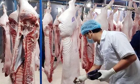 Vì sao đưa thịt lợn vào danh mục bình ổn giá?