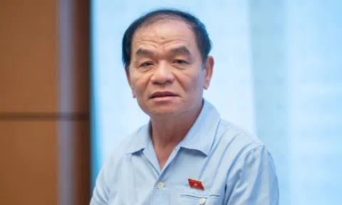 Đại biểu QH Lê Thanh Vân: Khó khăn thì xây tượng đài để làm gì?