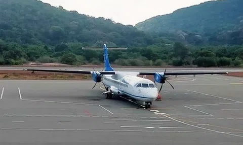 Gia tăng vụ việc chim và động vật hoang dã uy hiếp an toàn bay tại Côn Đảo