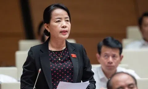 ĐBQH lo nguy cơ xóa bỏ xã hội hóa việc biên soạn sách giáo khoa