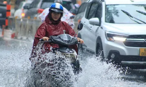 Cuối tuần mưa lớn, đường ngập, cây đổ ở TP HCM