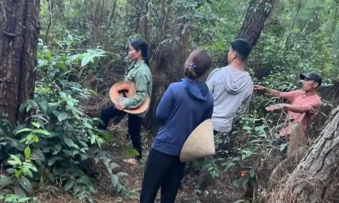 Nam sinh lớp 9 mất tích bí ẩn, hàng trăm người tìm kiếm