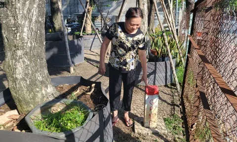 Bình Dương khẩn trương với dự án Vành đai 3