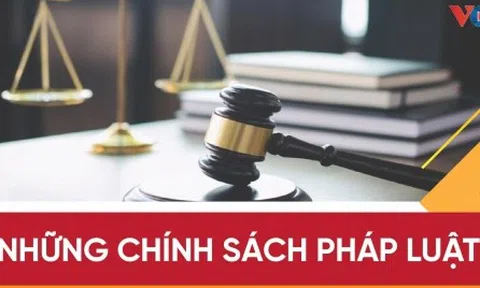 Những chính sách pháp luật có hiệu lực từ tháng 6/2023