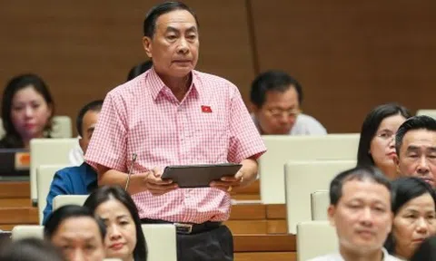 Đại biểu Quốc hội: Cần rõ tiêu chí thăng hàm cấp tướng trước thời hạn