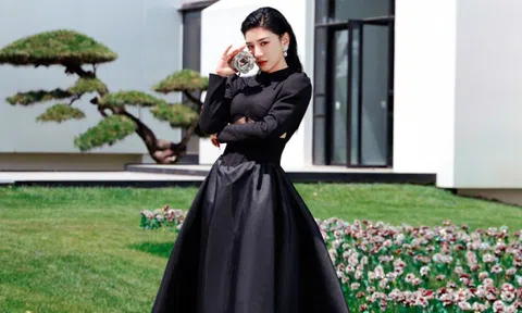 Huỳnh Dịch xin lỗi vì nhổ hoa ở triển lãm