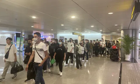 Thông tin mới vụ 437 công dân Việt được giải cứu ở sòng bài tại Philippines