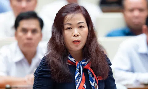 Nữ đại biểu chất vấn việc chi hàng trăm tỉ đồng cho các hội thảo, tập huấn